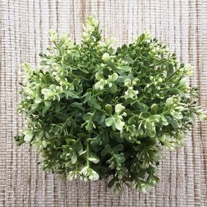 Meet your Posher, Dee